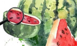 吃瓜视频免费2020,2020年度吃瓜视频免费盛宴大盘点