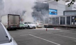 爆料海豚自燃视频播放在线观看,网络爆红视频揭秘自然奇观